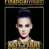 financial wealth media - meity anita